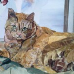Tabby Cat