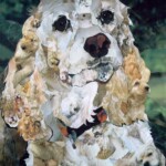 Cocker Spaniel
