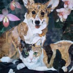 Corgi and Cat