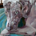 Weimaraner