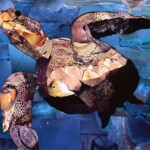 Sea Turtle