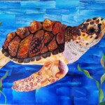 Betsy the Sea Turtle
