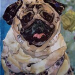 Pug