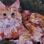 Fury Tabby