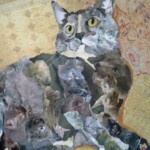 Gray Cat