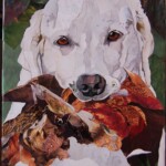 Yellow Lab
